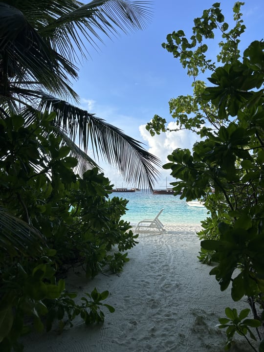 Strand Safari Island Maldives
