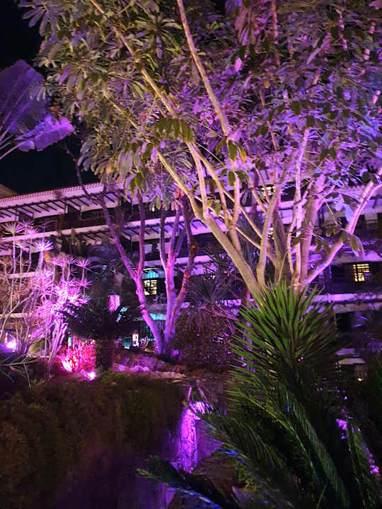 Gartenanlage Hotel Parque Tropical