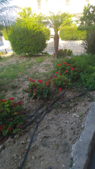 Sonstiges Atlantica Mikri Poli Rhodes