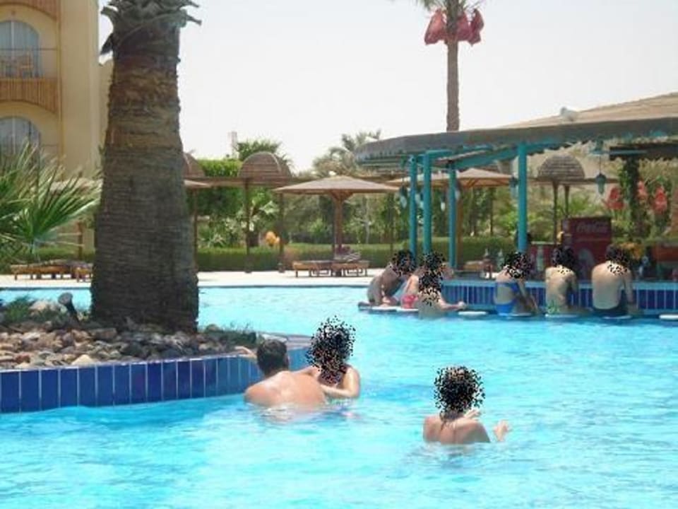 Basen z barem Desert Rose