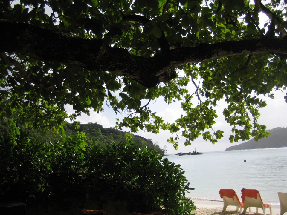 Nordstrand Constance Ephelia