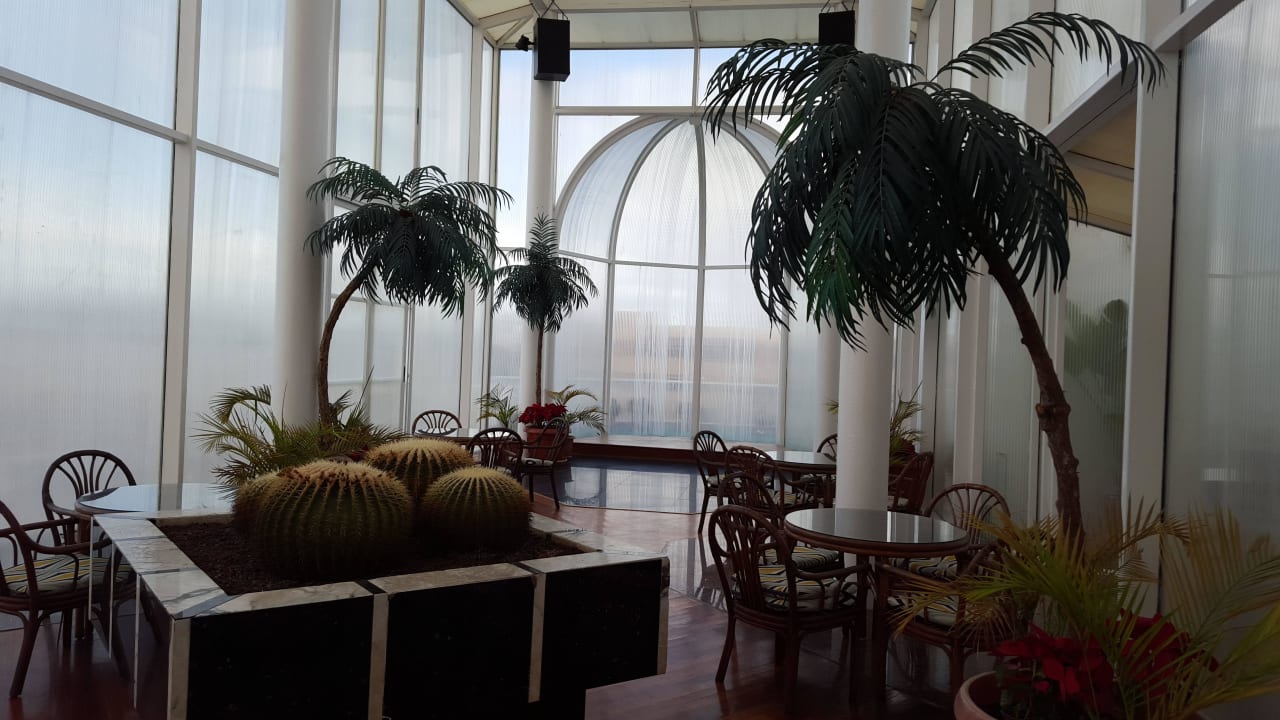 Zur Dachterrasse Bull Astoria