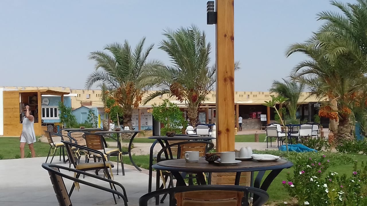 Gastro Coral Sun Beach