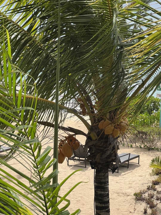 Ausblick Le Meridien Ile Maurice
