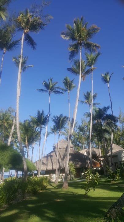 Außenansicht Vista Sol Punta Cana