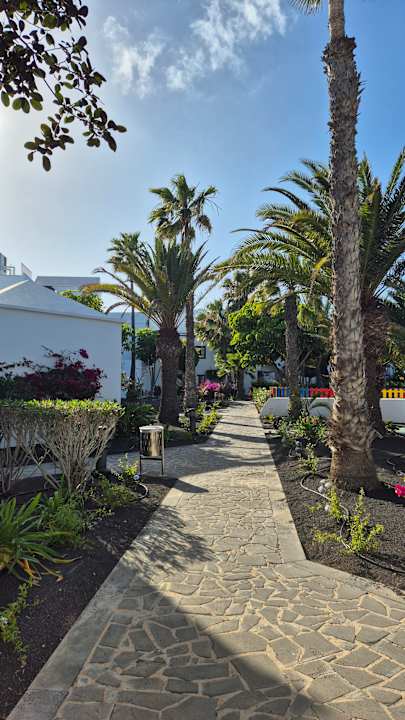 Gartenanlage allsun App.-Hotel Albatros