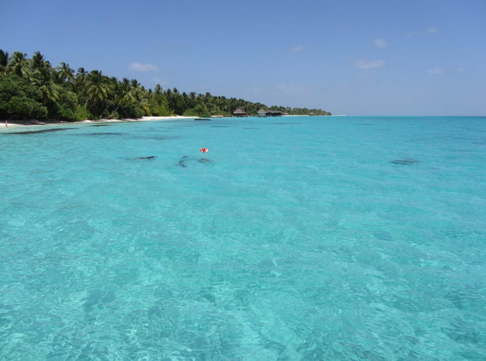 Die Lagunenseite Kuramathi Maldives
