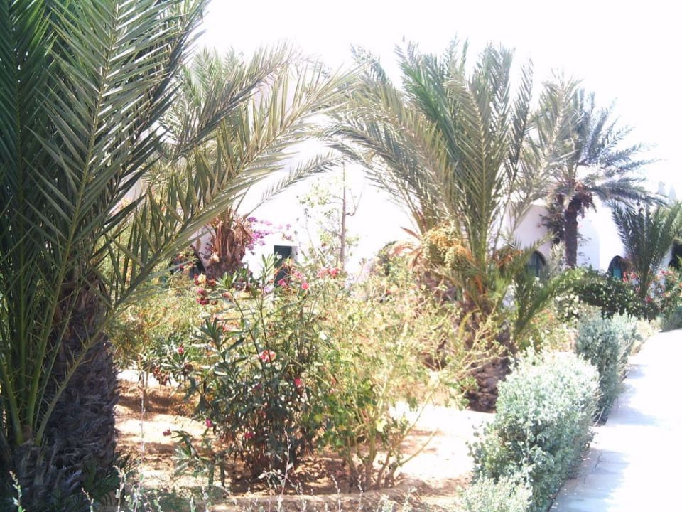 Bungalowanlage am Hang Hotel Sangho Club Zarzis