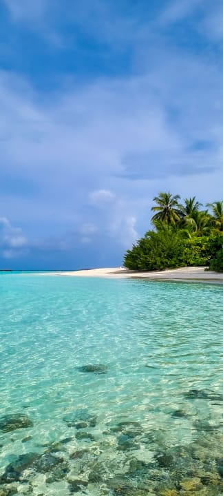 Strand Summer Island Maldives