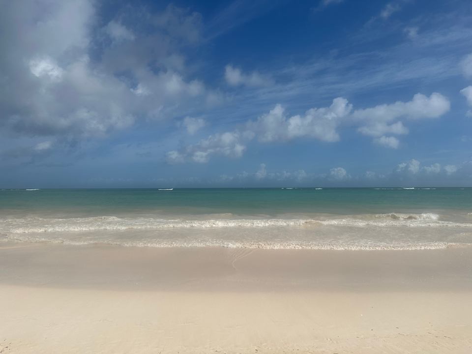 Strand Hotel Riu Palace Bavaro