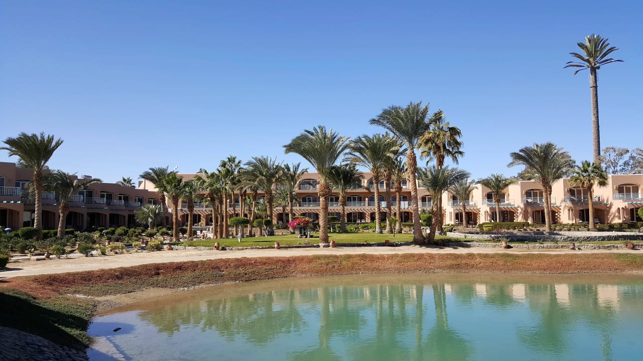 Vom Restaurant zur Gartenseite Club Paradisio El Gouna, Red Sea