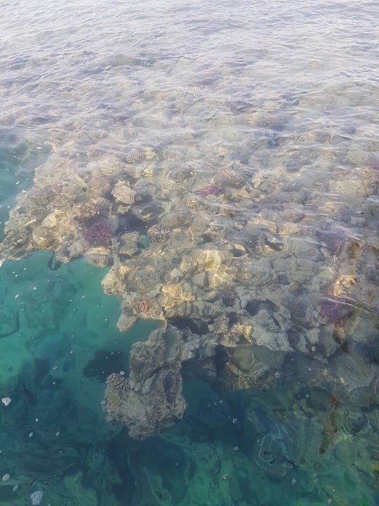 Strand Fantazia Resort Marsa Alam