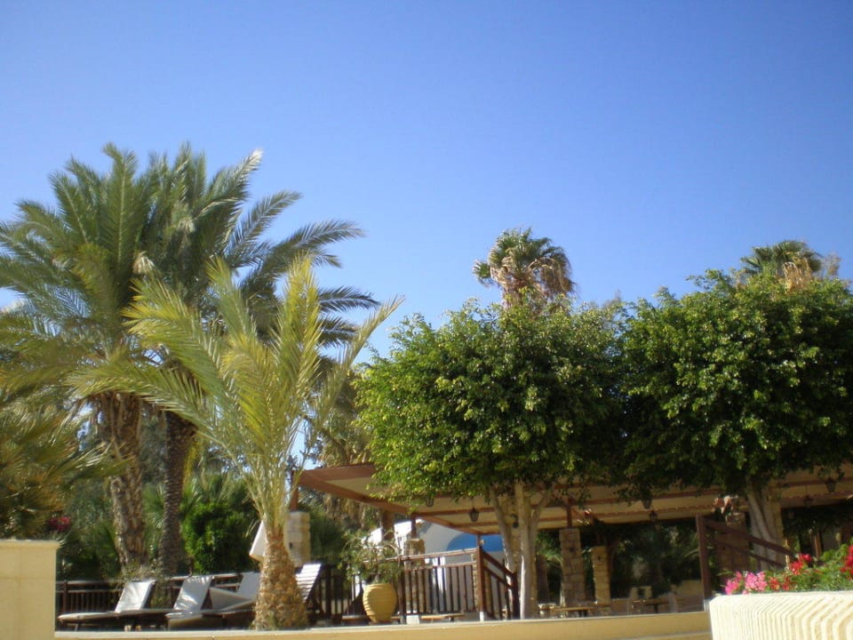 Die wunderschöne und gepflegte Gartenanlage Elias Beach Hotel