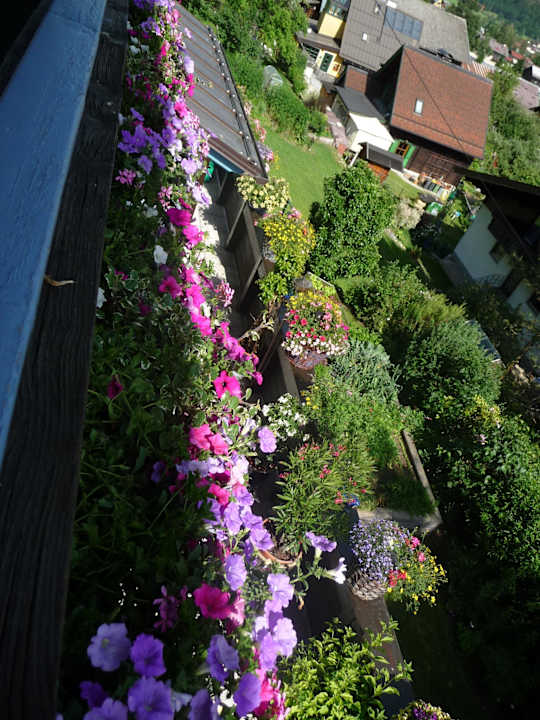 Balkon Pension Haus Alpina
