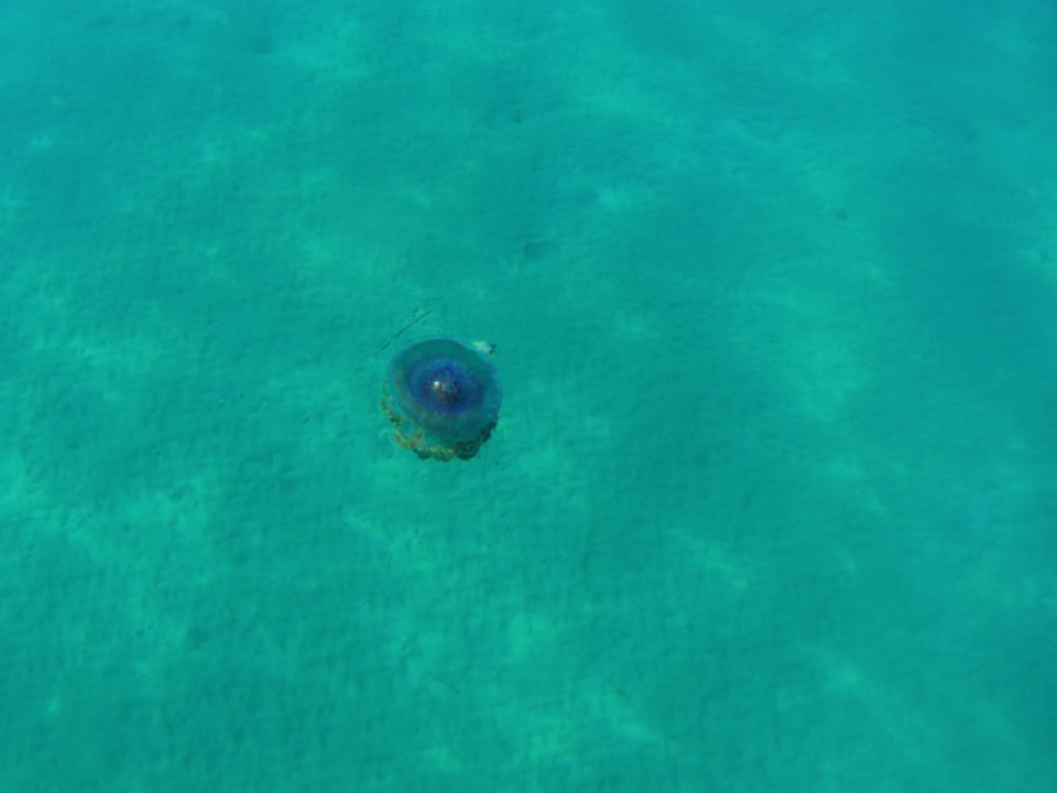 Sport & Freizeit Three Corners Equinox Beach Resort