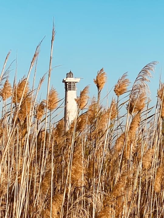 Sonstiges Hotel Riu Palace Jandia