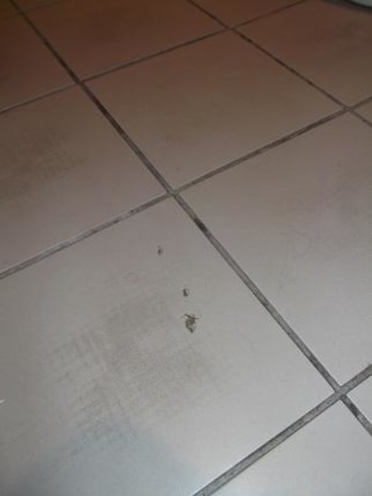 Dreck Alassio Hotel and Thalasso