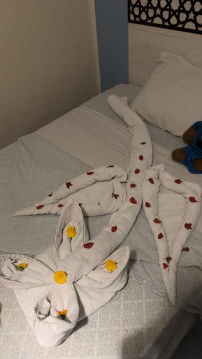 Zimmer Mirage Bay Resort & Aqua Park