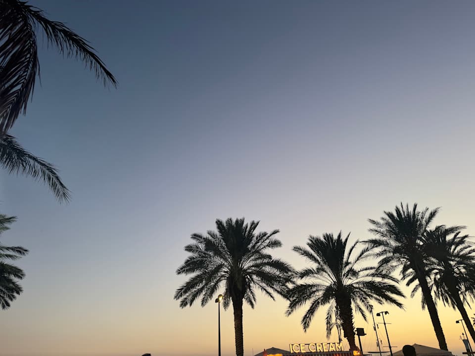 Strand Seashell Vega