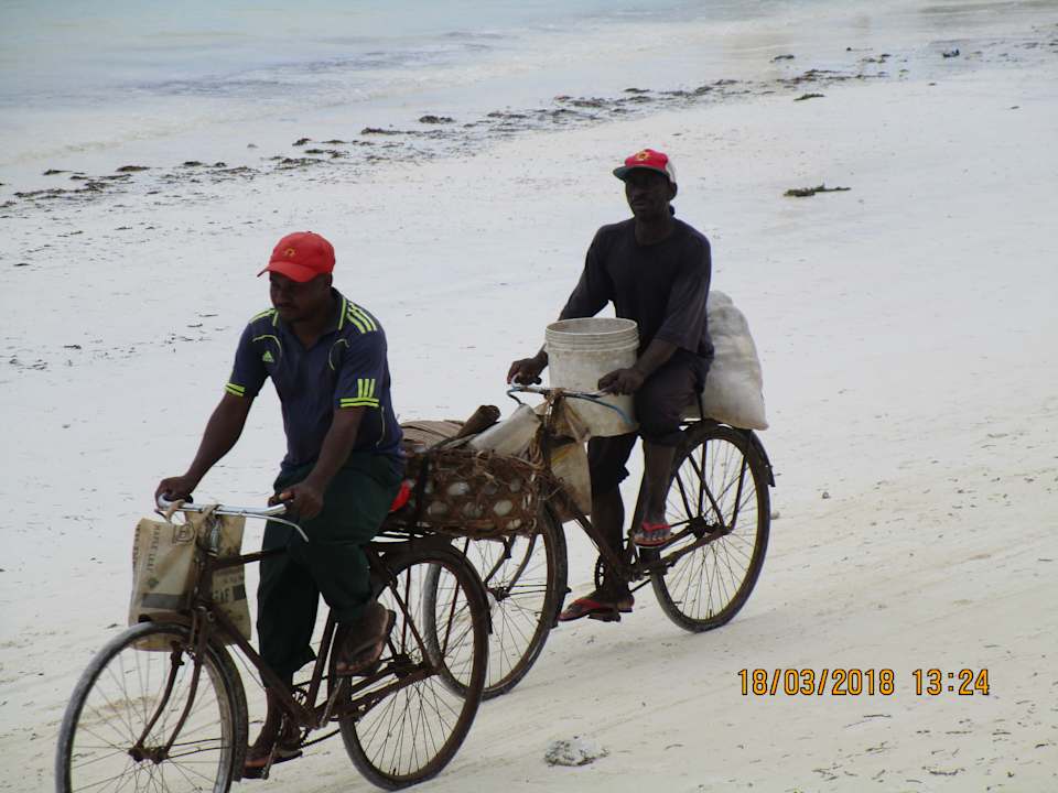 Strand Neptune Pwani Beach Resort & Spa