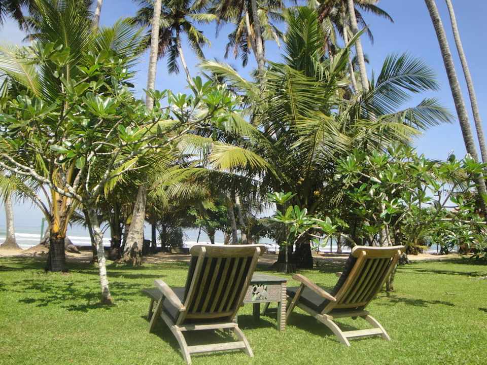 Toller Garten ohne viele Menschen Hotel Mandara Resort