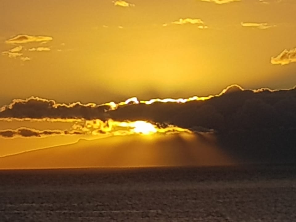 Ausblick Iberostar Waves Bouganville Playa
