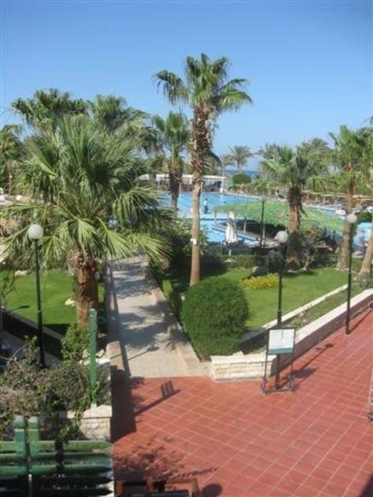 Swimming pool Arabia Azur Resort