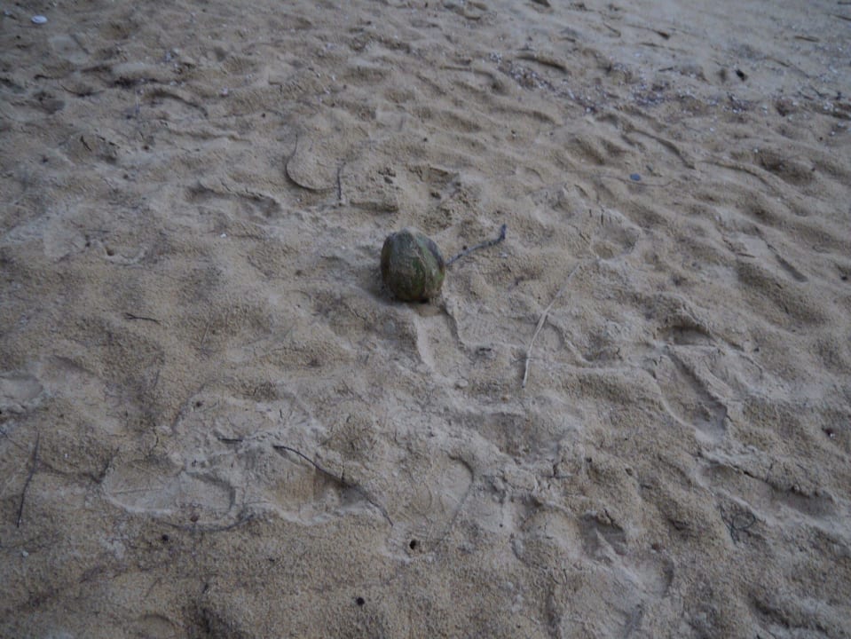 Renaissance Phuket Resort & Spa Renaissance Phuket Resort & Spa