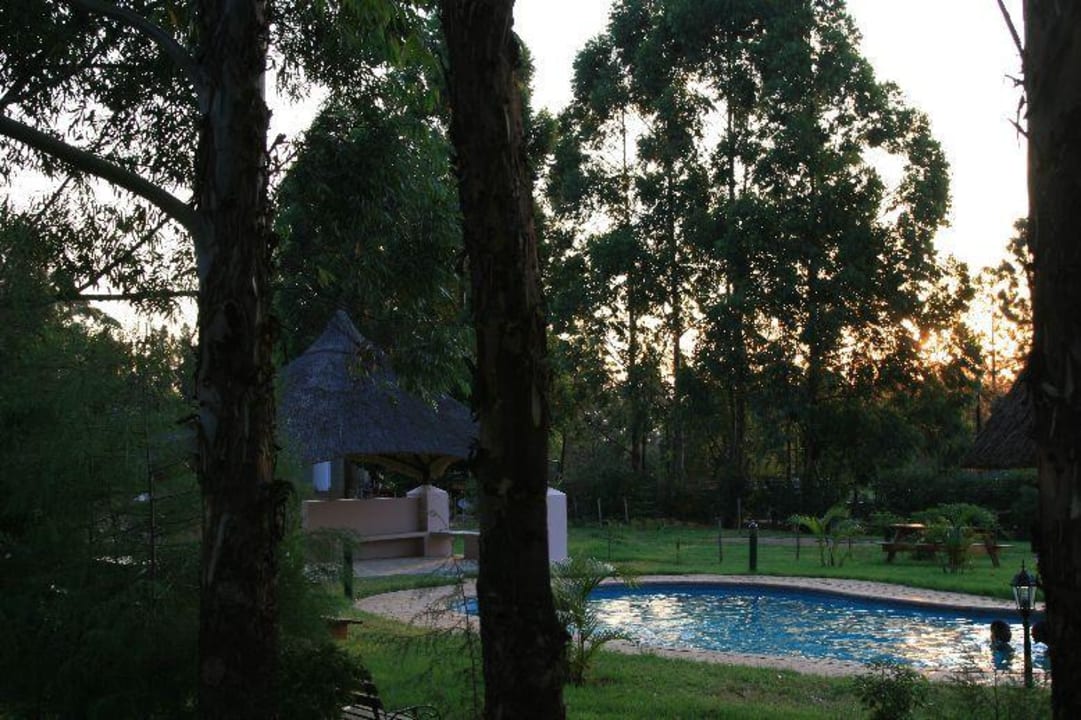Blick vom Bungalow auf den Pool Brookside Lodge