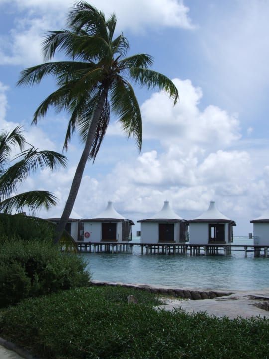 Wasserbungis Cinnamon Hakuraa Huraa Maldives
