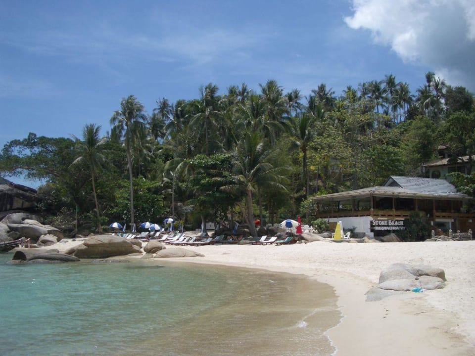 Klasse Hotel am Traumstrand! Panviman Resort Koh Phangan