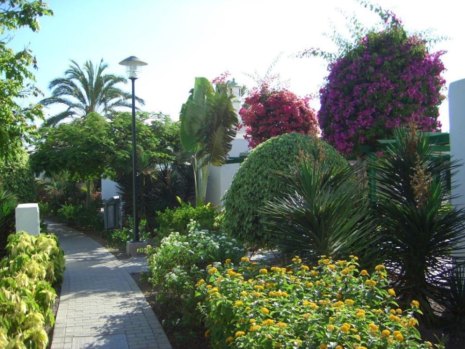 Anlage Bungalows Cordial Sandy Golf