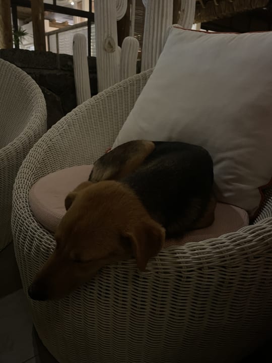 Zimmer Lagoon Attitude - Adults only