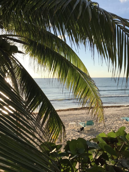 Strand Akumal Bay Beach & Wellness Resort