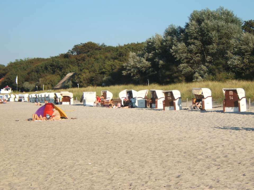 Strand FeWo Möwennest Arendsee