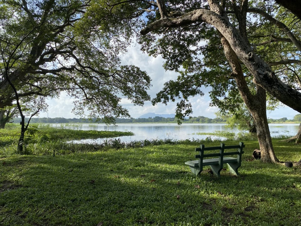 Gartenanlage Habarana Village by Cinnamon