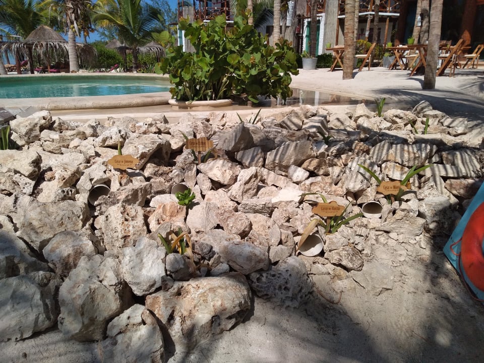 Sonstiges Hotel Villas Flamingos