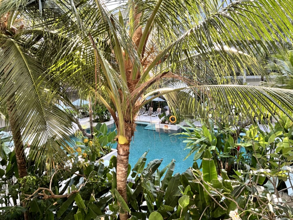 Gartenanlage The Anvaya Beach Resorts Bali