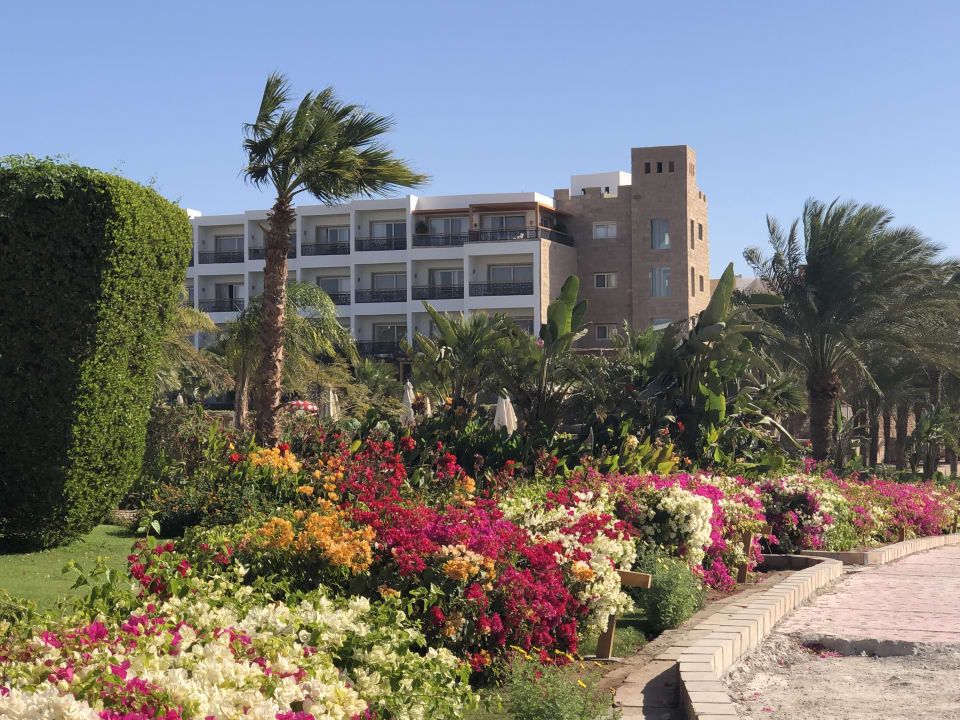 Gartenanlage Fort Arabesque - The West Bay