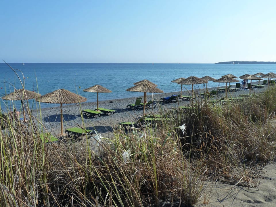 Schön ruhig Atlantica Plimmiri