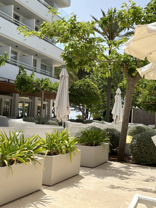 Gartenanlage Canyamel Park Hotel & Spa 16+ Adults only