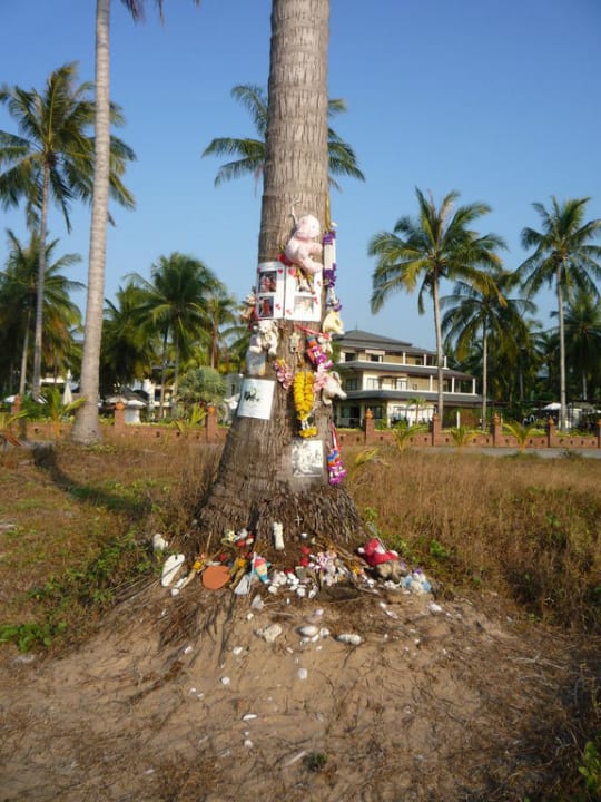 Gedenken an die Tsunami - Opfer Khaolak Orchid Beach Resort