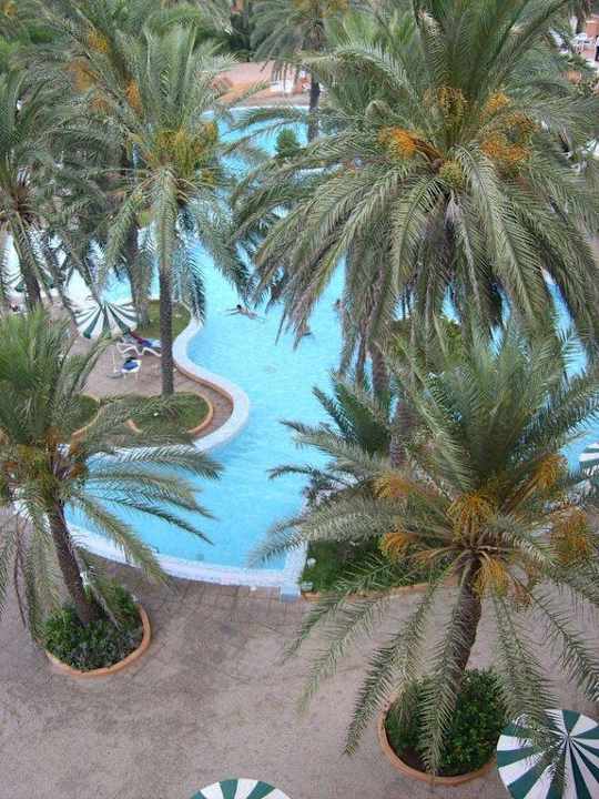 Der Pool am Morgen El Ksar Resort & Thalasso