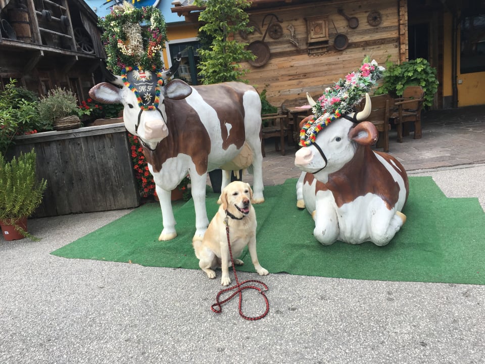 Sonstiges Hotel Kohlerhof