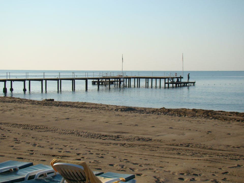 Molo Papillon Ayscha