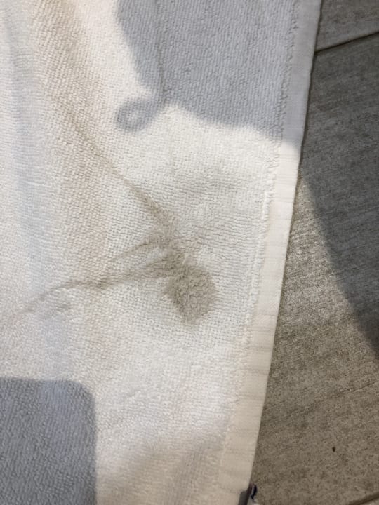 Zimmer Alcudia Garden Aparthotel