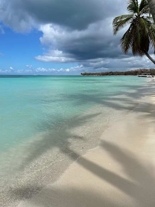 Strand Live Aqua Punta Cana - All Inclusive - Adults Only