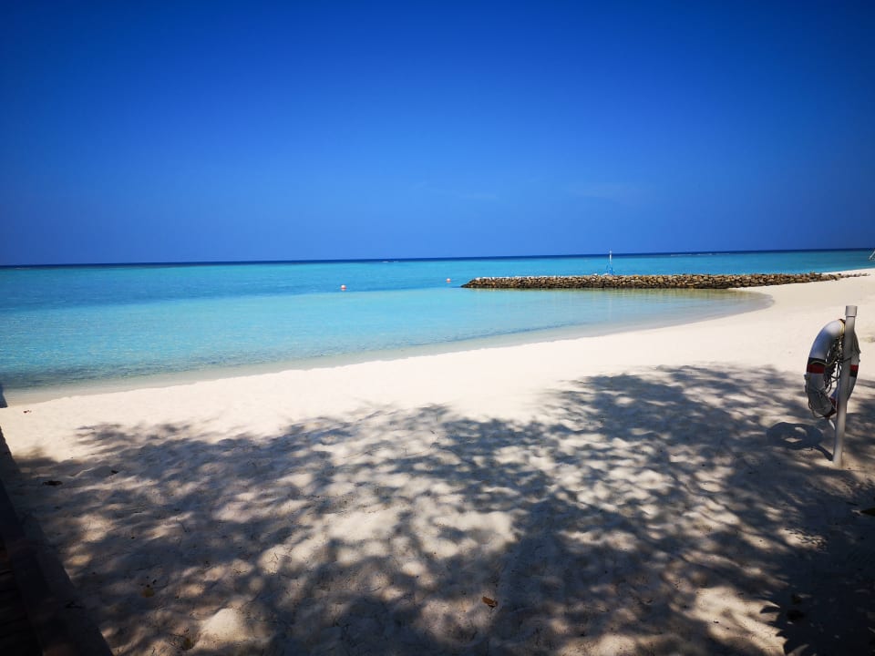 Strand Summer Island Maldives