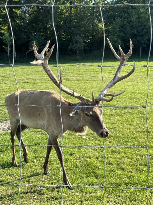 Sport & Freizeit Hotel Hofgut Tiergarten