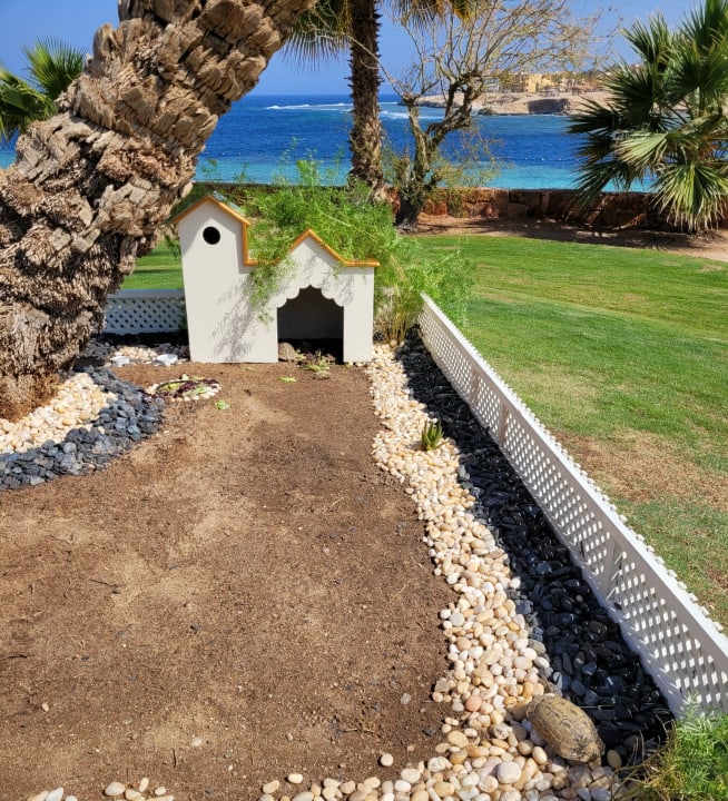 Gartenanlage Steigenberger Coraya Beach - Adults only